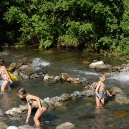 Camping Mobil Avec Animaux - 4 Pers. - Api-1-52-2972